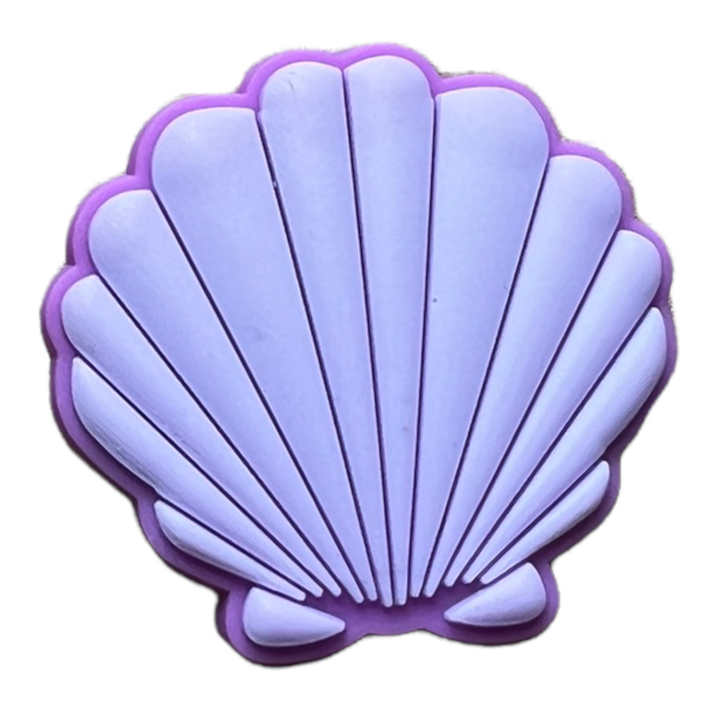 Purple Sea shell